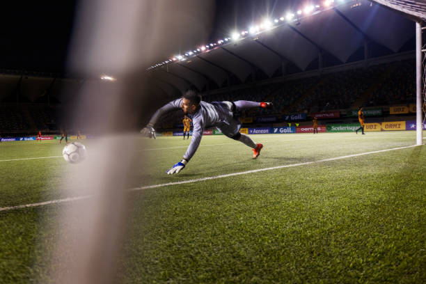 的亲密合作 的亲密合作